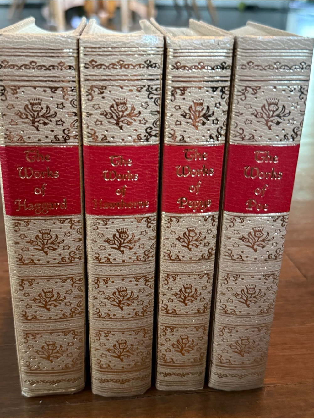 The Works of Haggard, Hawthorne, Pepys, and Poe Book Set